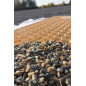 Palette de Stabilisateur de graviers Beige 2,9 cm (35,52m2)